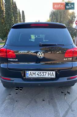 Внедорожник / Кроссовер Volkswagen Tiguan 2013 в Житомире