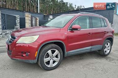 Внедорожник / Кроссовер Volkswagen Tiguan 2010 в Киеве