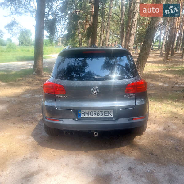 Внедорожник / Кроссовер Volkswagen Tiguan 2013 в Сумах