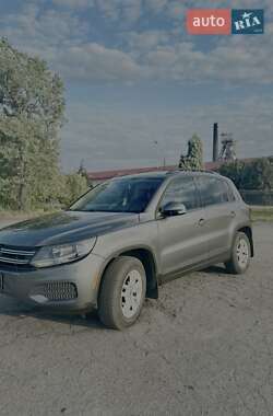 Внедорожник / Кроссовер Volkswagen Tiguan 2015 в Терновке