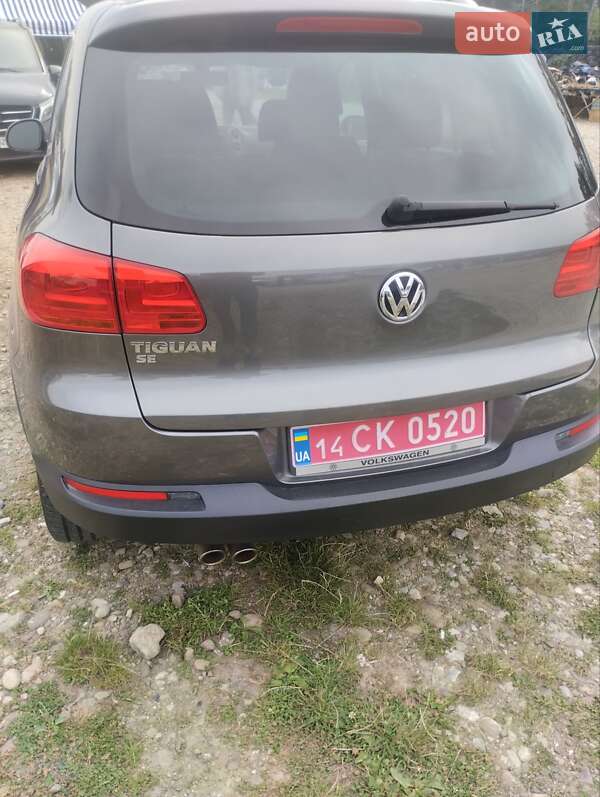 Внедорожник / Кроссовер Volkswagen Tiguan 2016 в Ивано-Франковске фото 14 Внедорожник / Кроссовер Volkswagen Tiguan 2016 в Ивано-Франковске