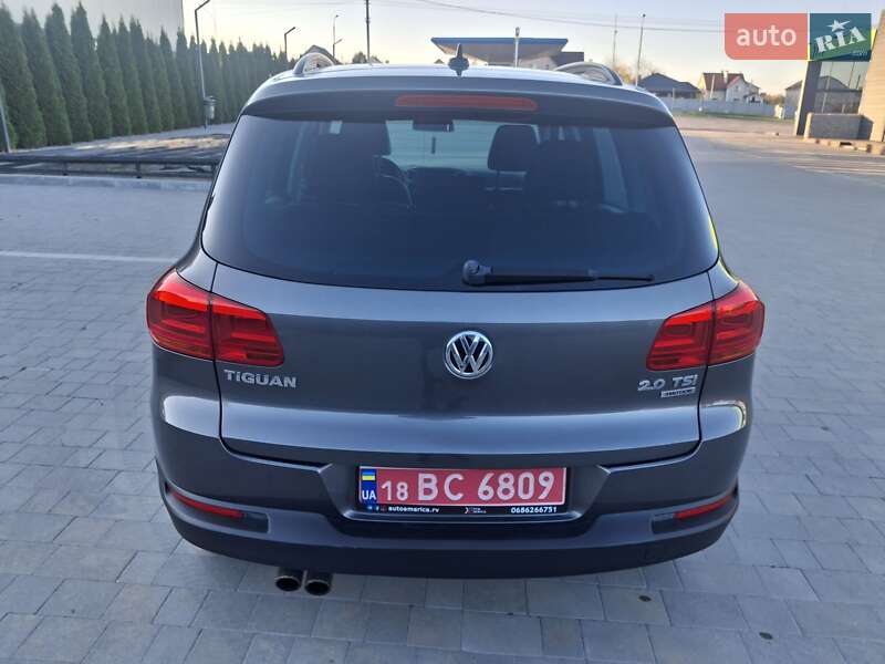 Внедорожник / Кроссовер Volkswagen Tiguan 2013 в Каменец-Подольском фото 4 Внедорожник / Кроссовер Volkswagen Tiguan 2013 в Каменец-Подольском