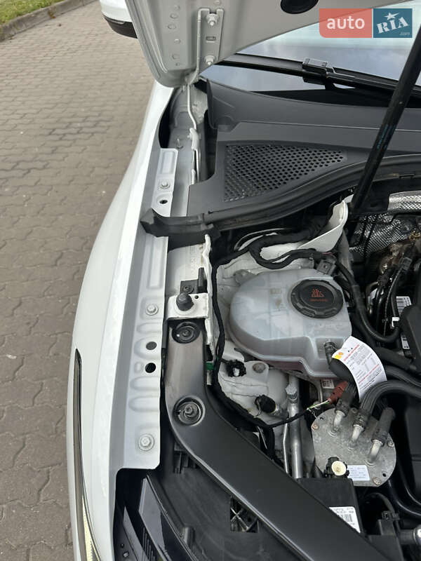 Внедорожник / Кроссовер Volkswagen Tiguan 2021 в Бродах фото 75 Внедорожник / Кроссовер Volkswagen Tiguan 2021 в Бродах