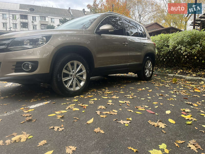 Volkswagen Tiguan 2013 Volkswagen Tiguan 2013