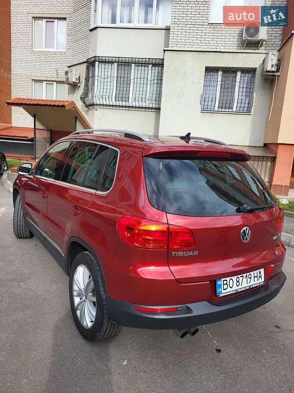 Внедорожник / Кроссовер Volkswagen Tiguan 2013 в Тернополе