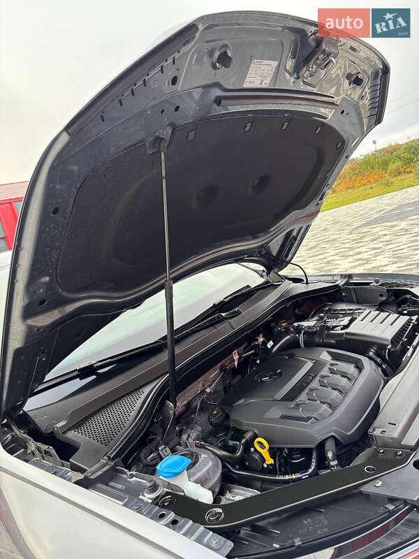 Внедорожник / Кроссовер Volkswagen Tiguan 2024 в Львове фото 37 Внедорожник / Кроссовер Volkswagen Tiguan 2024 в Львове