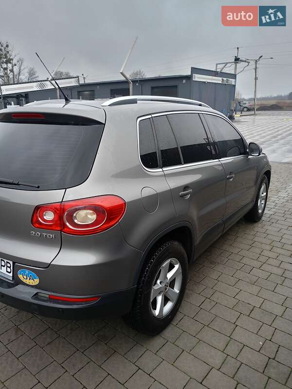 Внедорожник / Кроссовер Volkswagen Tiguan 2010 в Городке фото 23 Внедорожник / Кроссовер Volkswagen Tiguan 2010 в Городке