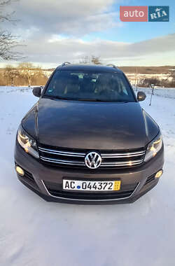 Внедорожник / Кроссовер Volkswagen Tiguan 2013 в Сторожинце