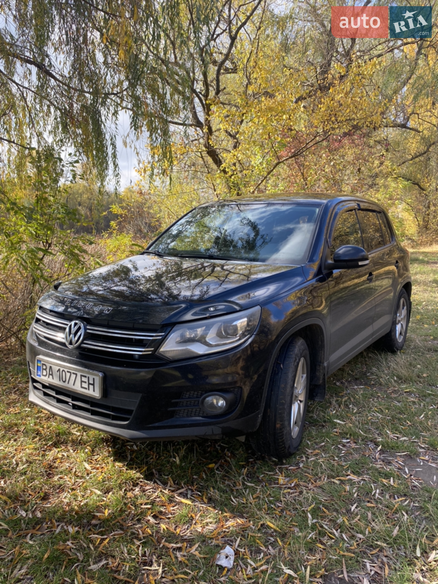 2011 Volkswagen Tiguan - мініатюра 2
