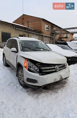 Внедорожник / Кроссовер Volkswagen Tiguan 2016 в Львове