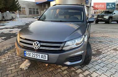 Внедорожник / Кроссовер Volkswagen Tiguan 2016 в Хмельницком