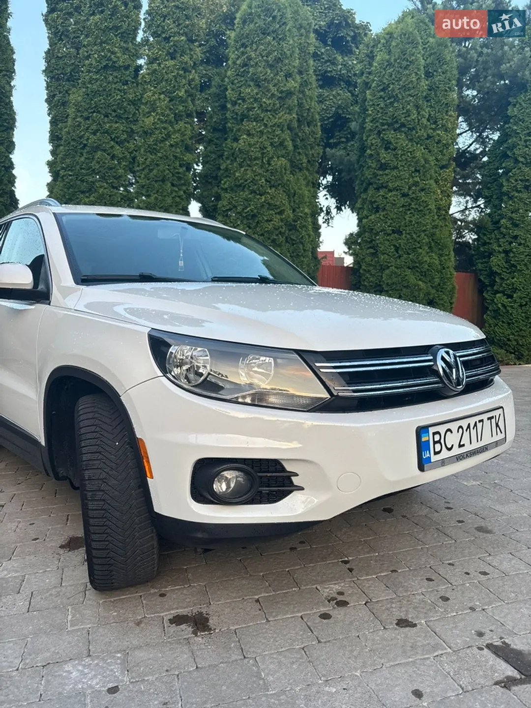 2012 Volkswagen Tiguan - мініатюра 3