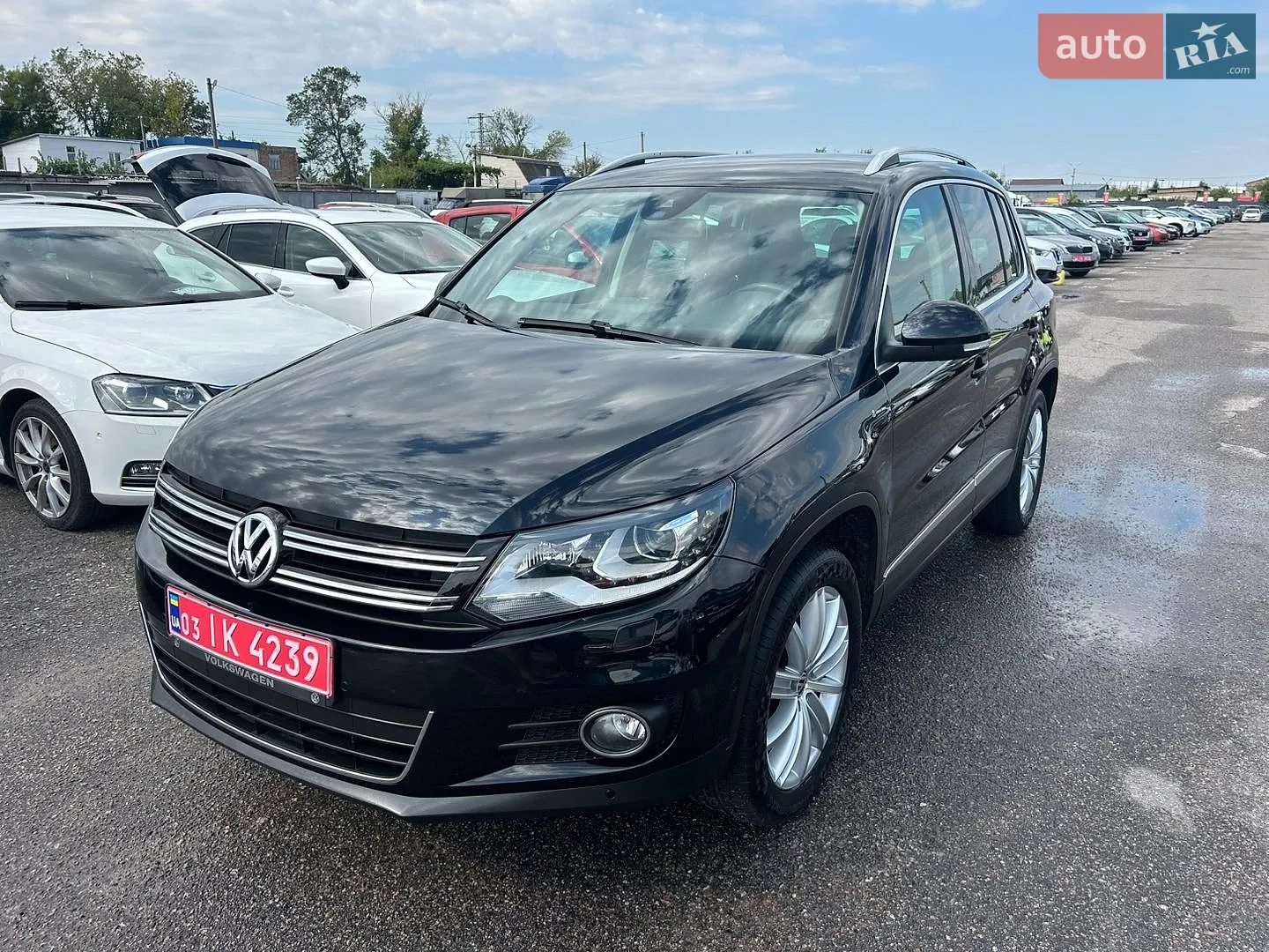 2013 Volkswagen Tiguan - мініатюра 3