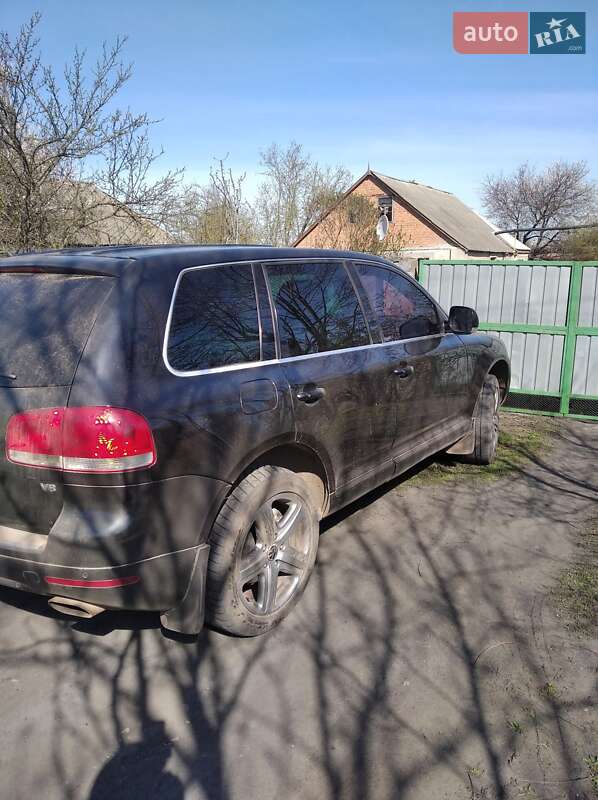 Внедорожник / Кроссовер Volkswagen Touareg 2004 в Краснограде