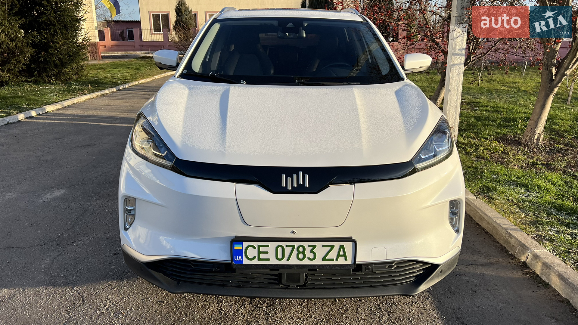2019 Weltmeister EX5 - мініатюра 3