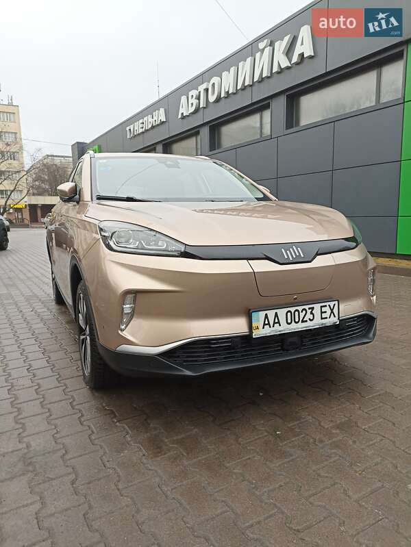 Weltmeister EX5 2019