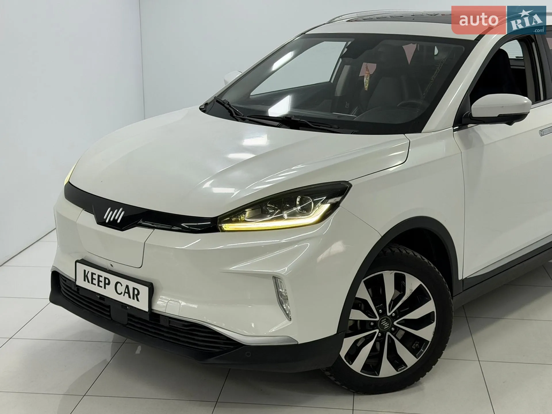 2019 Weltmeister EX5 - мініатюра 2