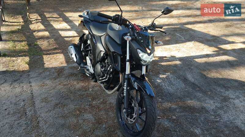 Мотоцикл Без обтекателей (Naked bike) Yamaha FZ 250 2022 в Десне фото 2 Мотоцикл Без обтекателей (Naked bike) Yamaha FZ 250 2022 в Десне