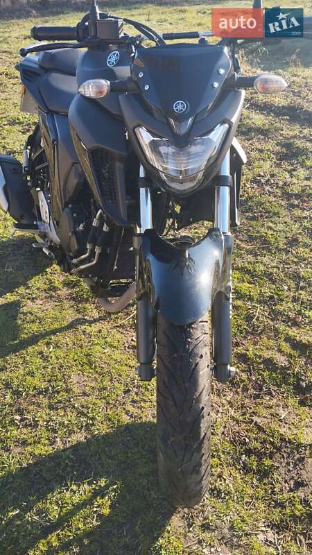 Мотоцикл Без обтекателей (Naked bike) Yamaha FZ 250 2022 в Десне фото 6 Мотоцикл Без обтекателей (Naked bike) Yamaha FZ 250 2022 в Десне
