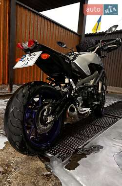 Грузовые мотороллеры, мотоциклы, скутеры, мопеды Yamaha MT-09 2015 в 
