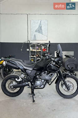 Мотоцикл Туризм Yamaha XT 660Z Tenere 2010 в 