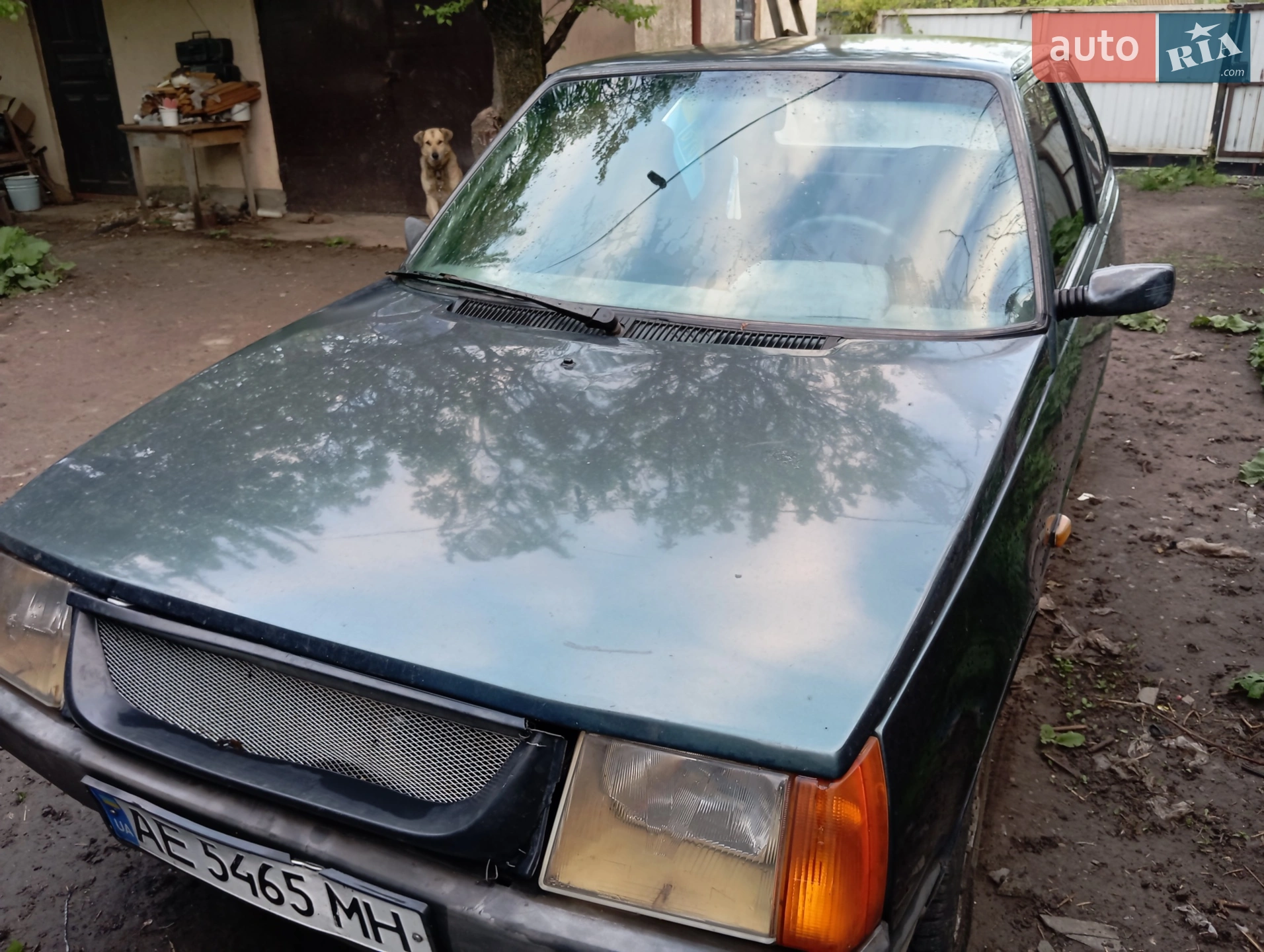 ЗАЗ 1102 Таврія-Нова 2001 VIN Y6D11020710371651 фото оголошення 12 з 20
