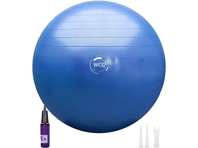 Мяч для фитнеса (фитбол) WCG SPORT 65 см Anti-Burst 300кг гимнастический + насос