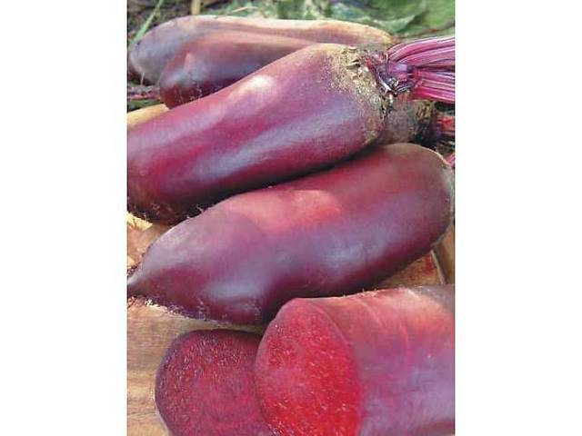 Продам столовый буряк