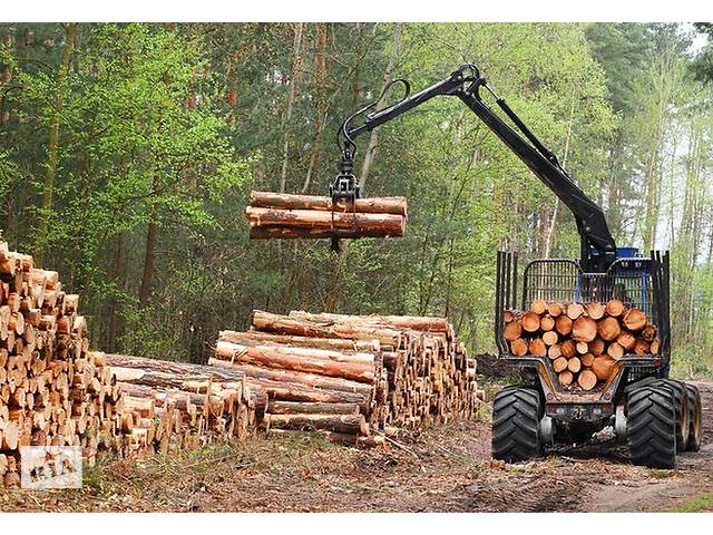 продам База данных всех, кто занимается деревом в Хмельницкой области бу в Украине продам База данных всех, кто занимается деревом в Хмельницкой области бу в Украине