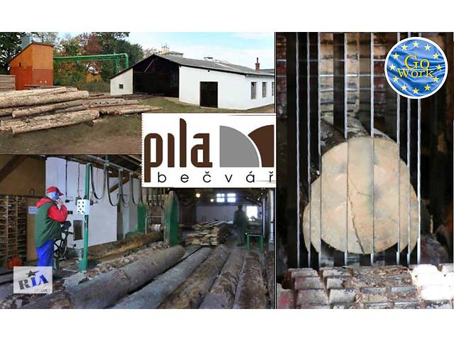 Cборщики поддонов на лесопилке Pila Becvar в Чехии. GoWork
