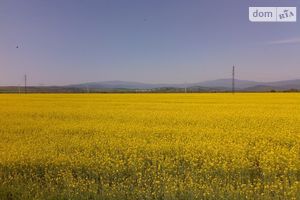 Продається земельна ділянка 600 соток у Миколаївській області