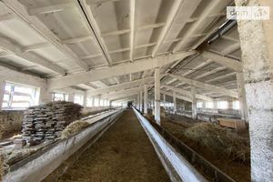 Продается помещения свободного назначения 3000 кв. м в 1-этажном здании