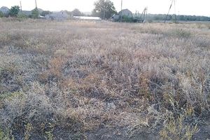Продається земельна ділянка 6 соток у Херсонській області