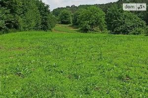 Продается земельный участок 56 соток в Винницкой области