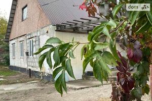 Продається одноповерховий будинок 100 кв. м з банею/сауною