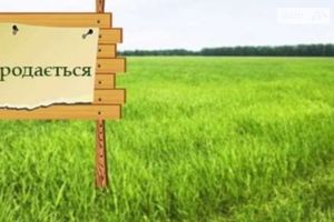 Продается земельный участок 19.5 соток в Винницкой области