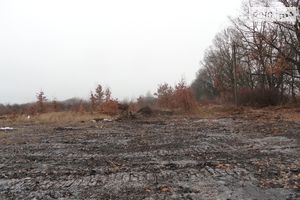 Продается земельный участок 33 соток в Винницкой области