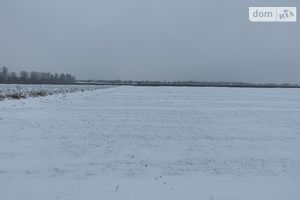 Продается земельный участок 70 соток в Винницкой области