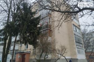 Продается 1-комнатная квартира 36 кв. м в Виннице